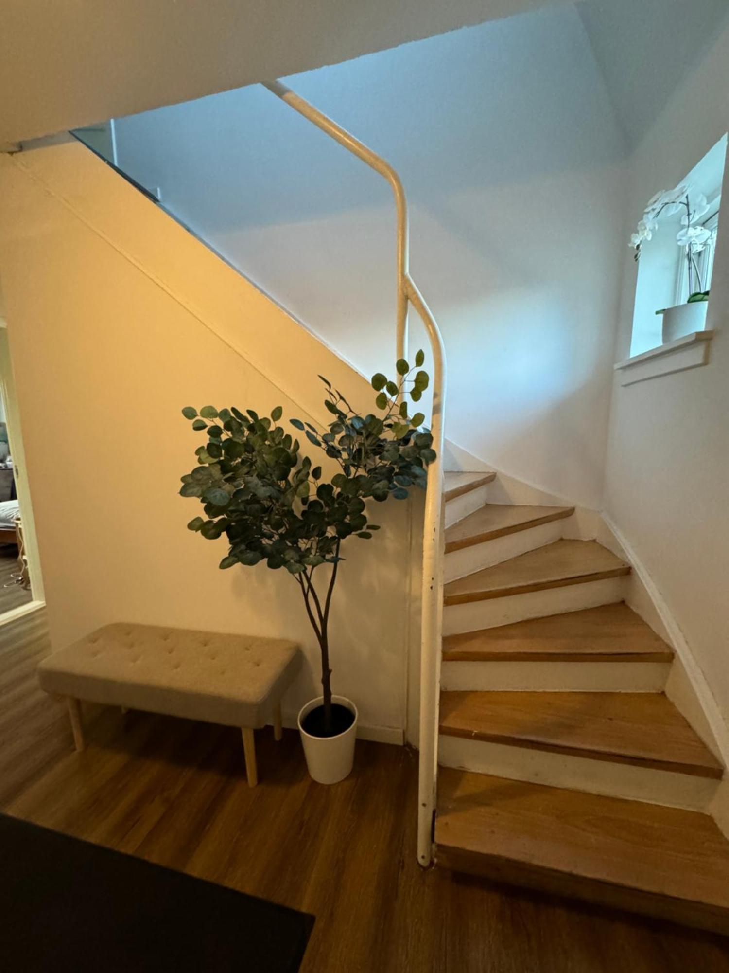 Privat overnatting Casa De Rainer 3 København